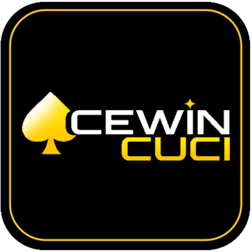 Acewincuci